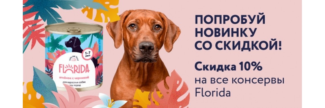 Florida для собак